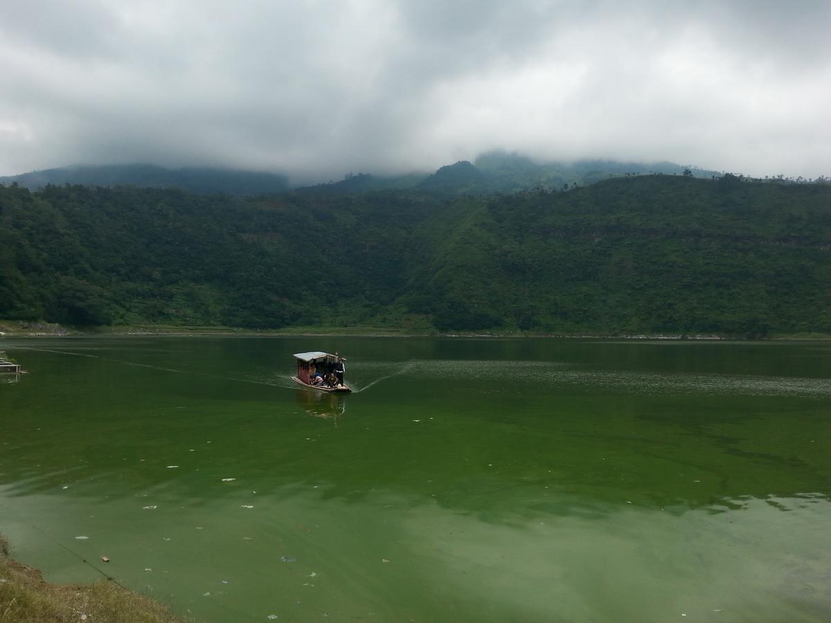 Harumi Dieng Wonosobo Dış mekan fotoğraf